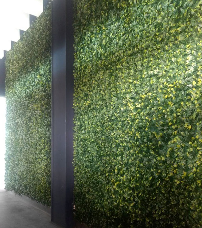 Muro verde forever green