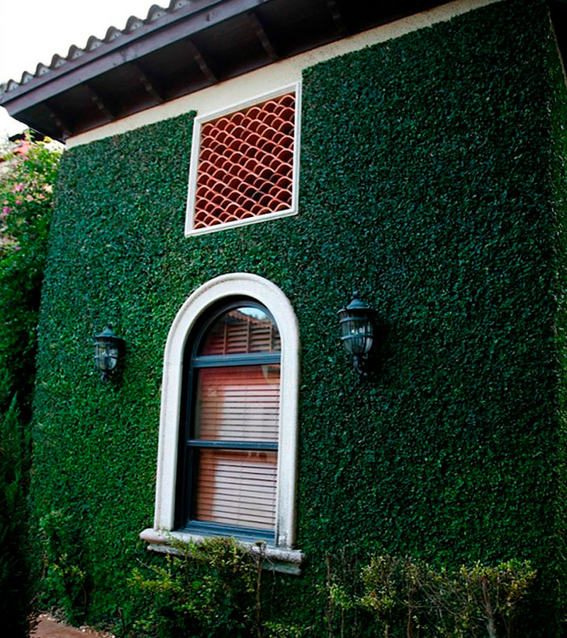 Muro verde forever green